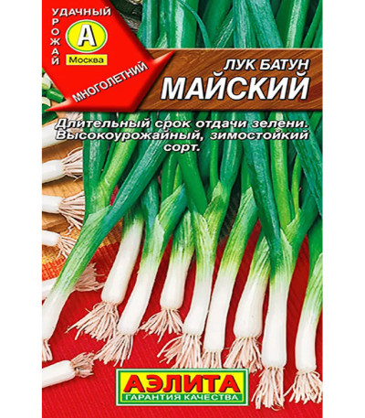 Лук батун Майский