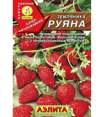 Земляника альпийская Руяна