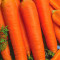 Морковь гранулированная Королева осени
