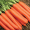 Морковь Красный великан